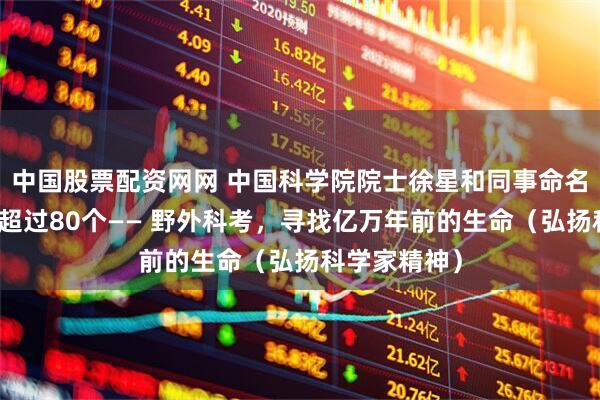 中国股票配资网网 中国科学院院士徐星和同事命名恐龙新物种超过80个—— 野外科考，寻找亿万年前的生命（弘扬科学家精神）